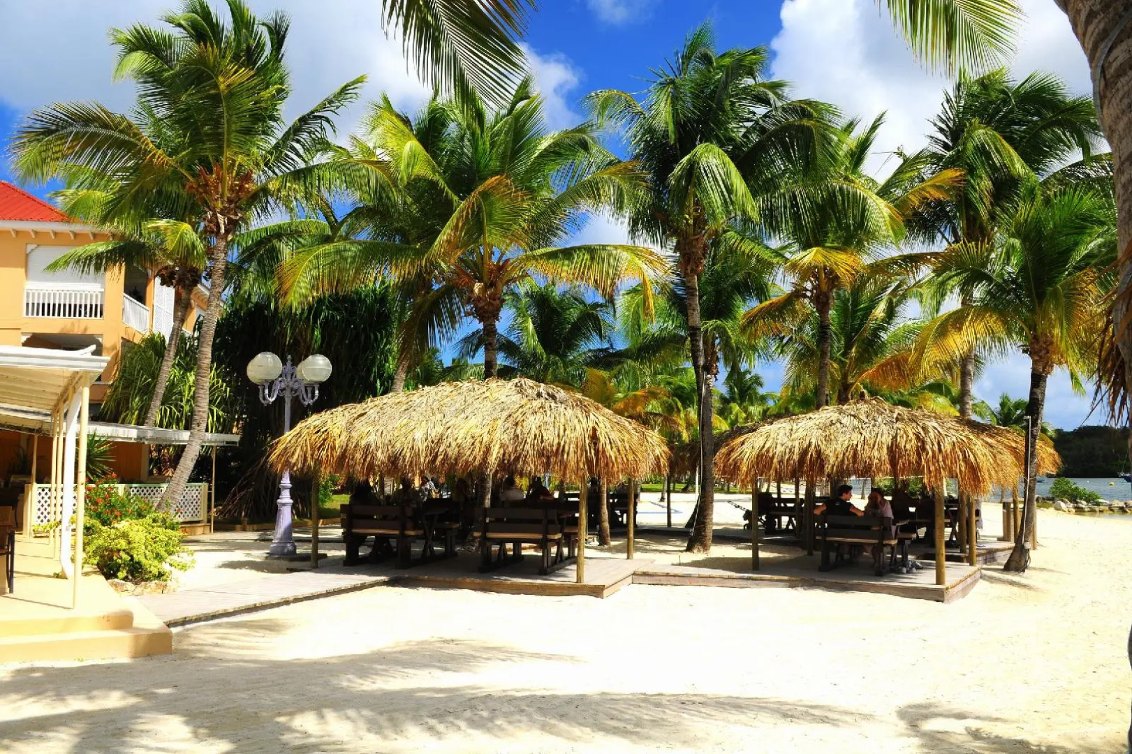 Flamboyant - Le Village