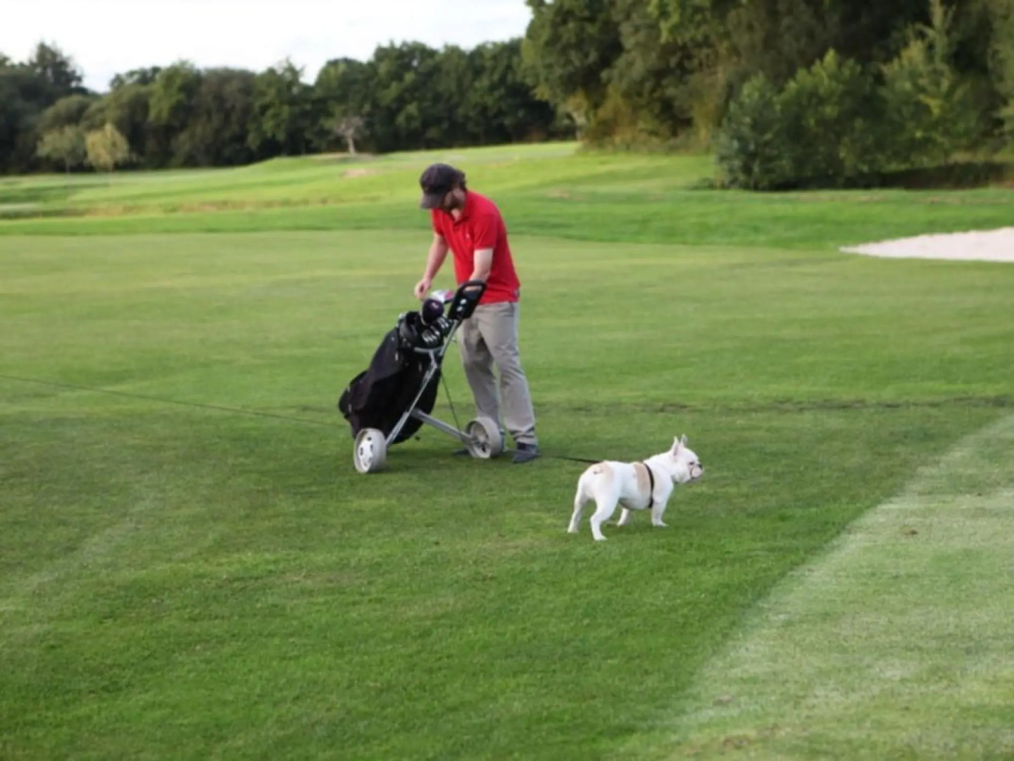 Typical Norman Farmhouse With Free Wifi, a Short Drive From the Coast