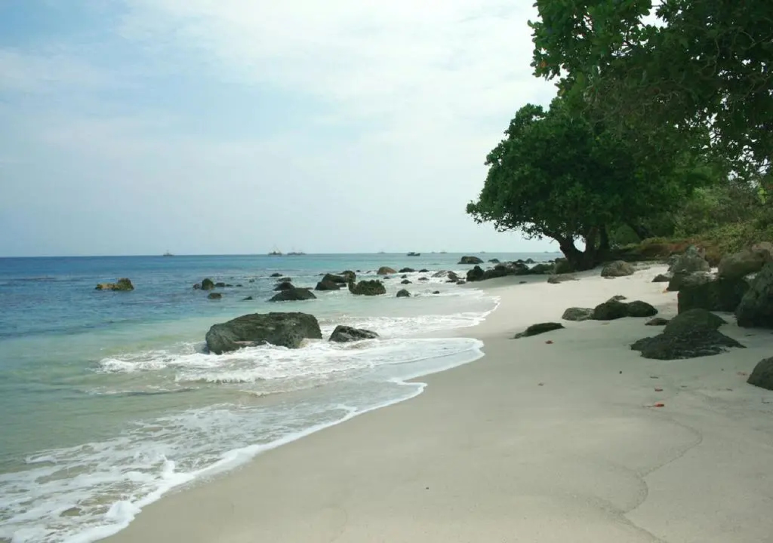 Green Coral Tanjung Lesung