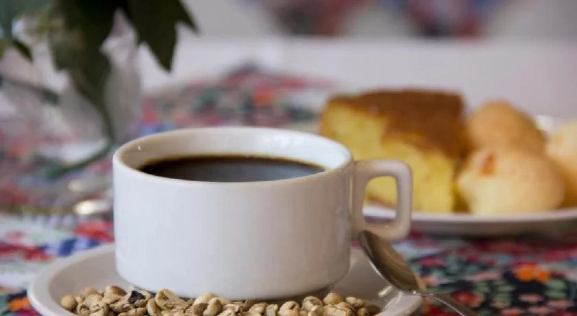 Pousada Remanso do Rio Preto