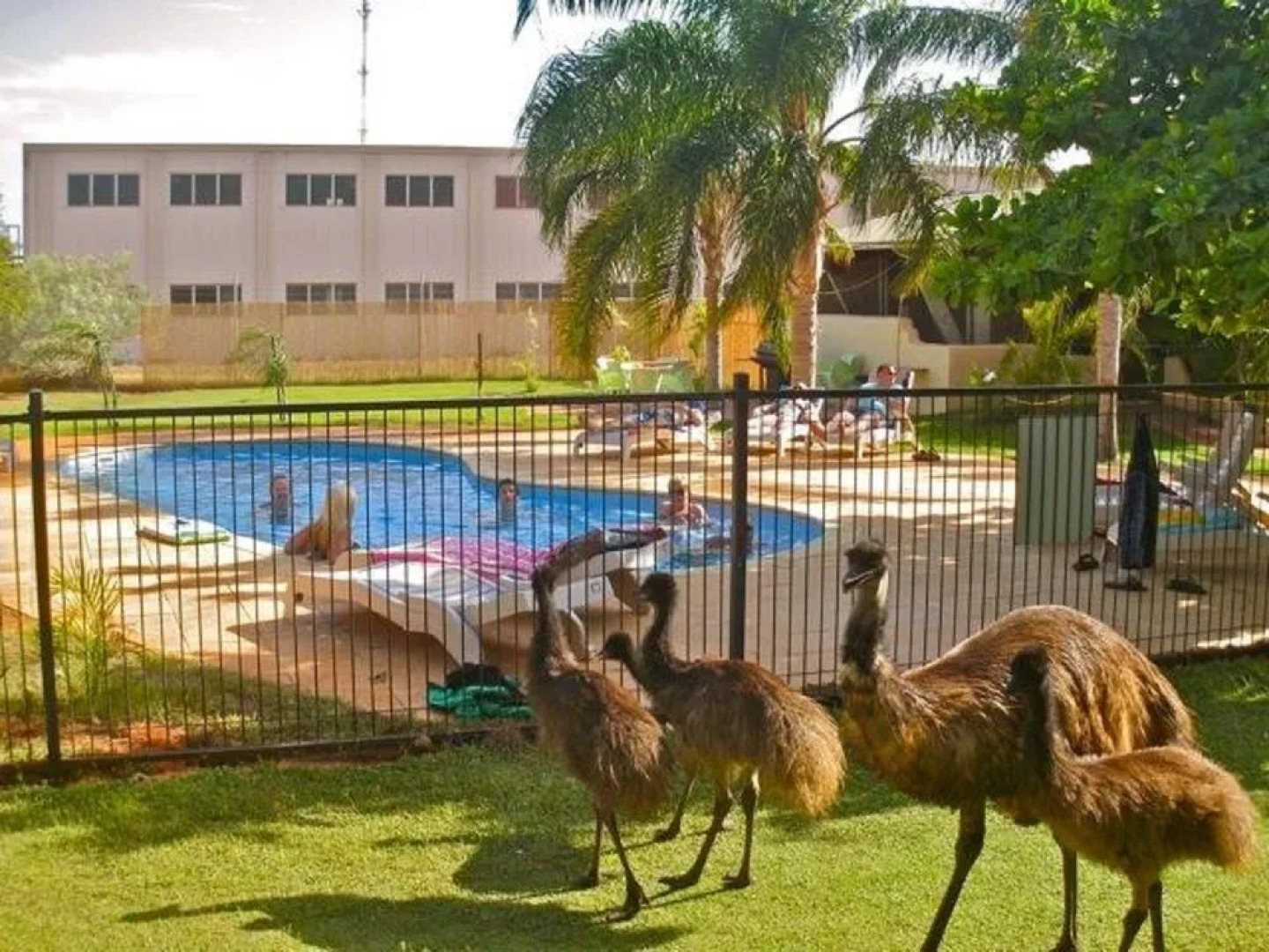 Golden Chain Sea Breeze Resort