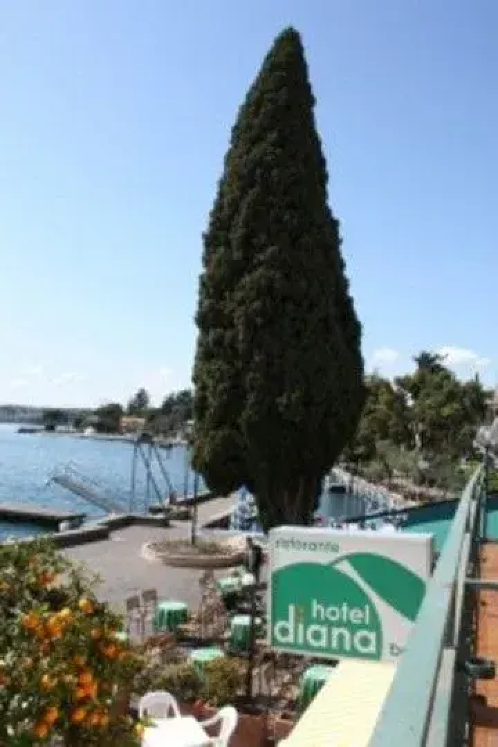 Hotel Diana