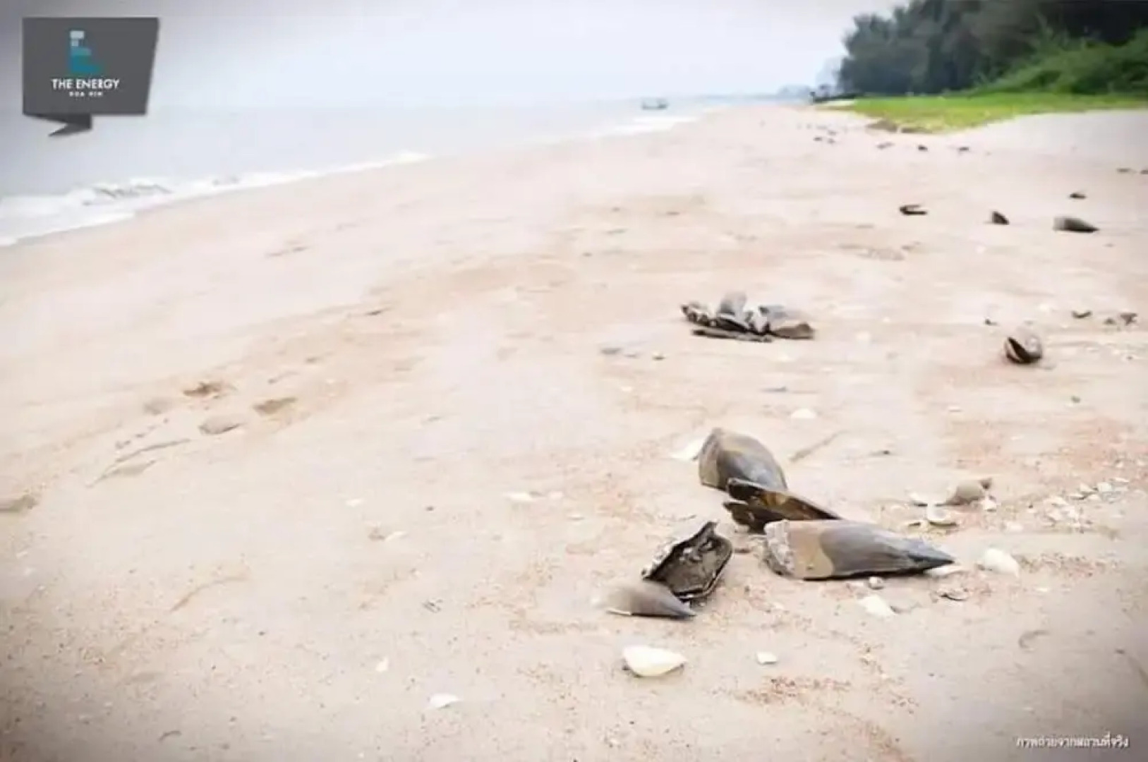 The Energy Condo By AP