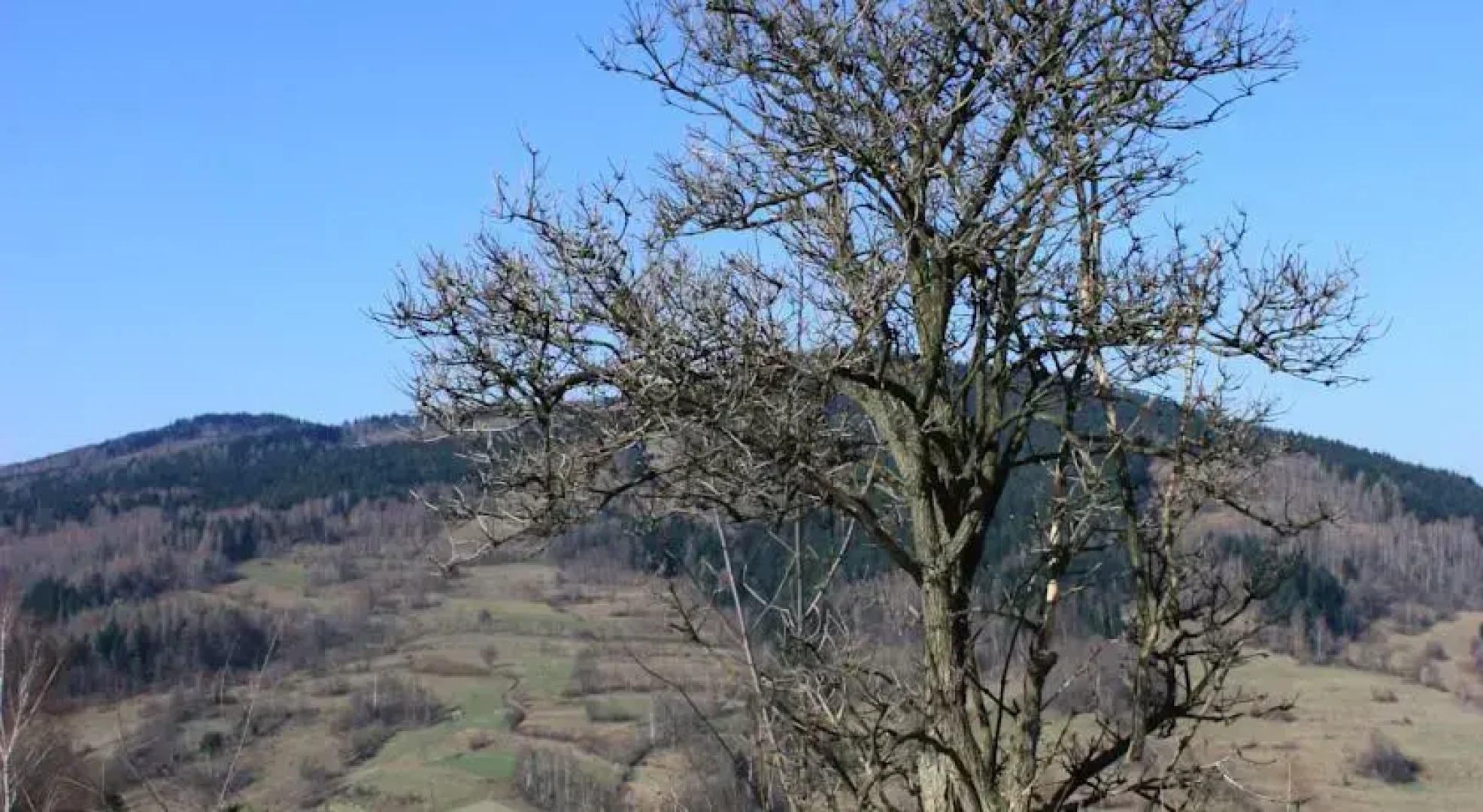 Domek Góralski Hyrb