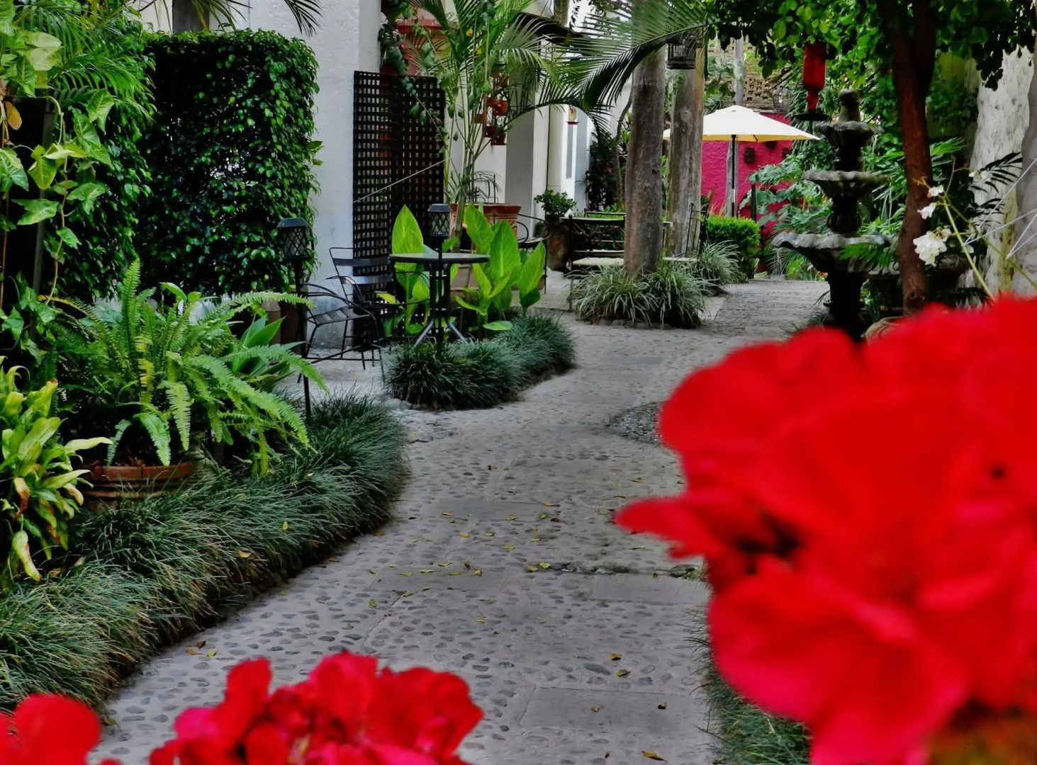 Hotel Rosa Morada
