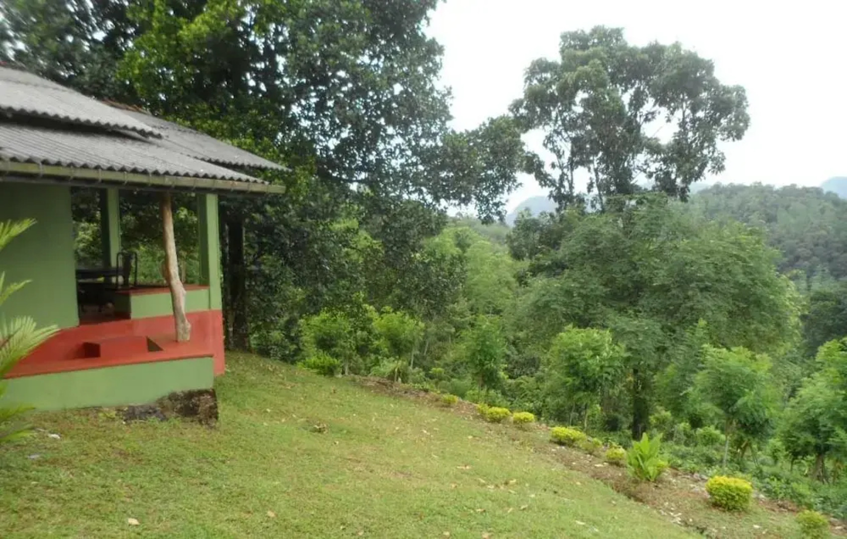 Yoho Rain Forest Eco Lodge