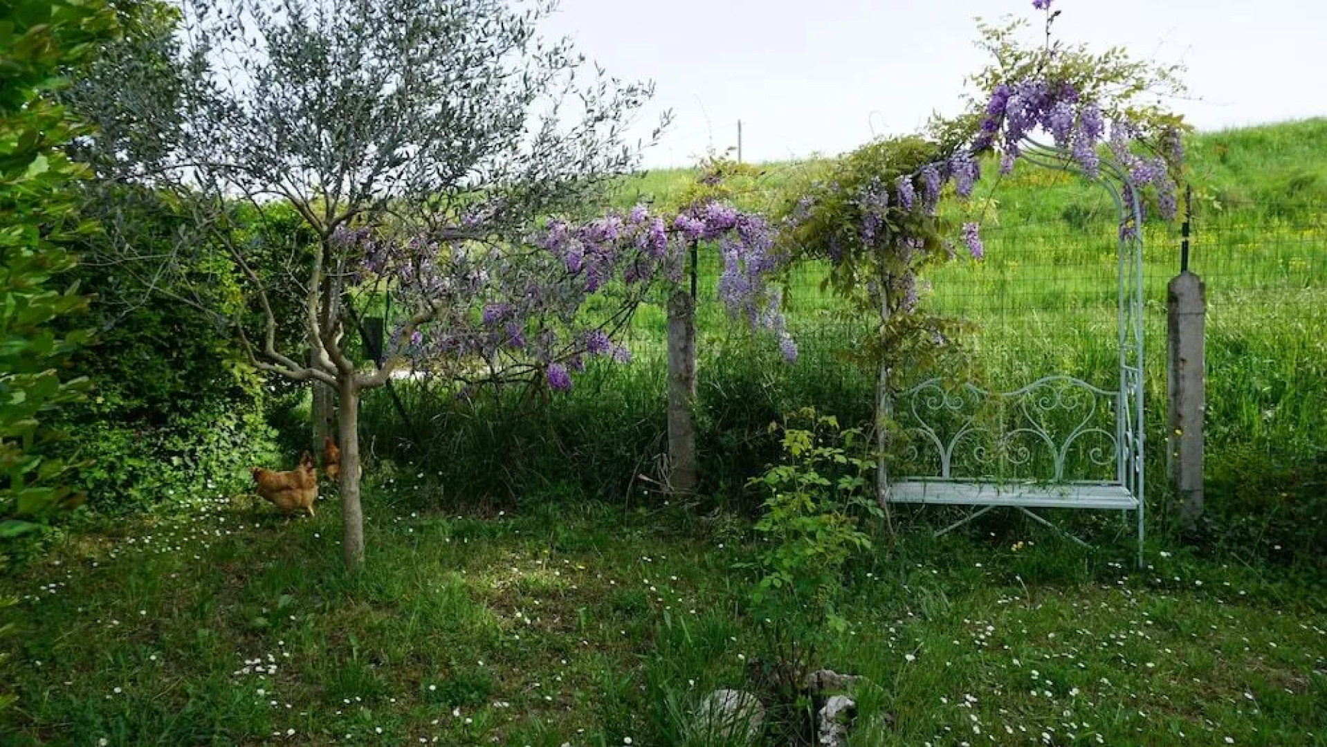 L'Abete Rosso Sul Po