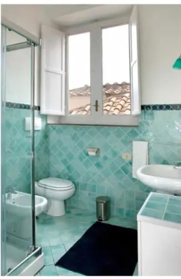 Brasca 2018 Rosa Canina