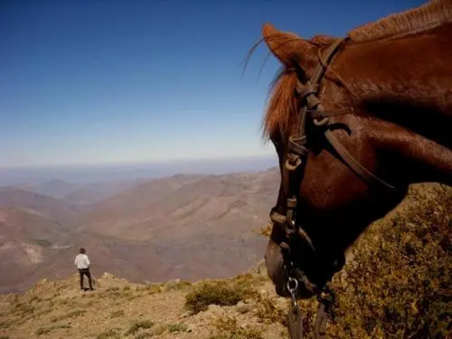 Hacienda Los Andes