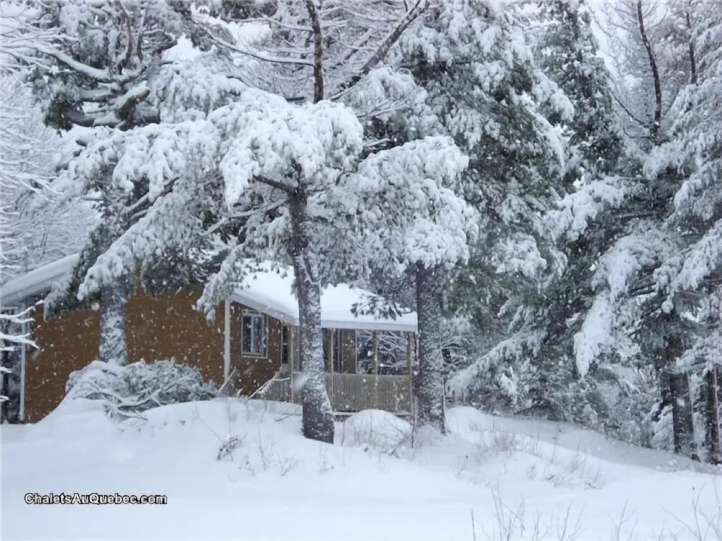 Auberge La Taniere A Tadoussac