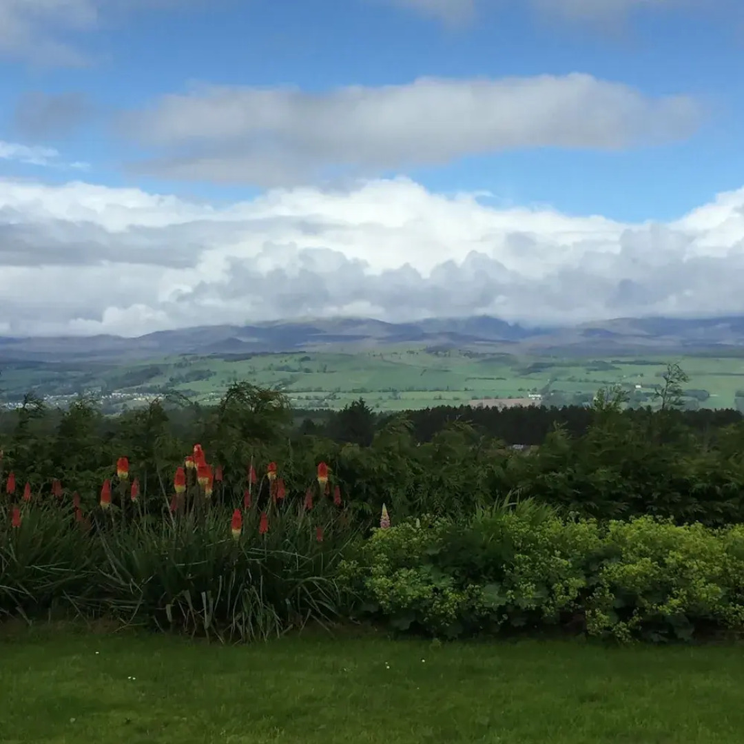 Abalone guest house Bed and Breakfast