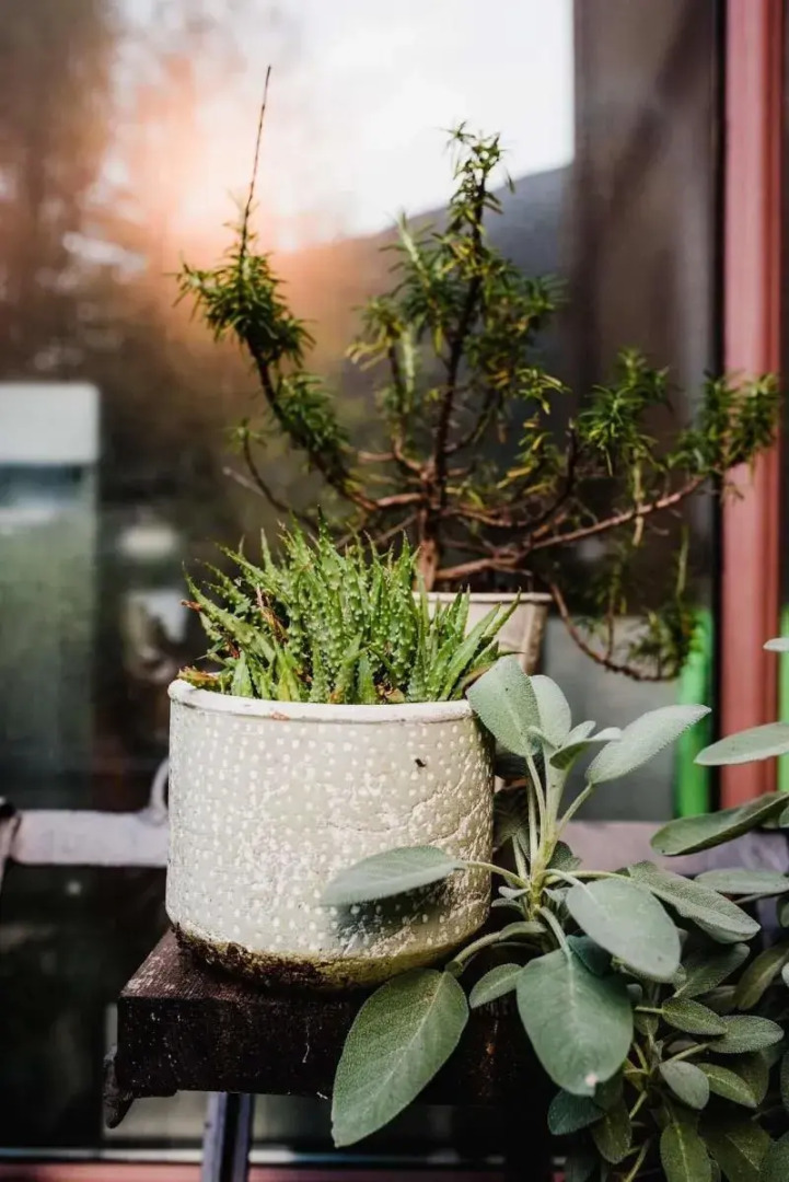 Villa Regina Teodolinda