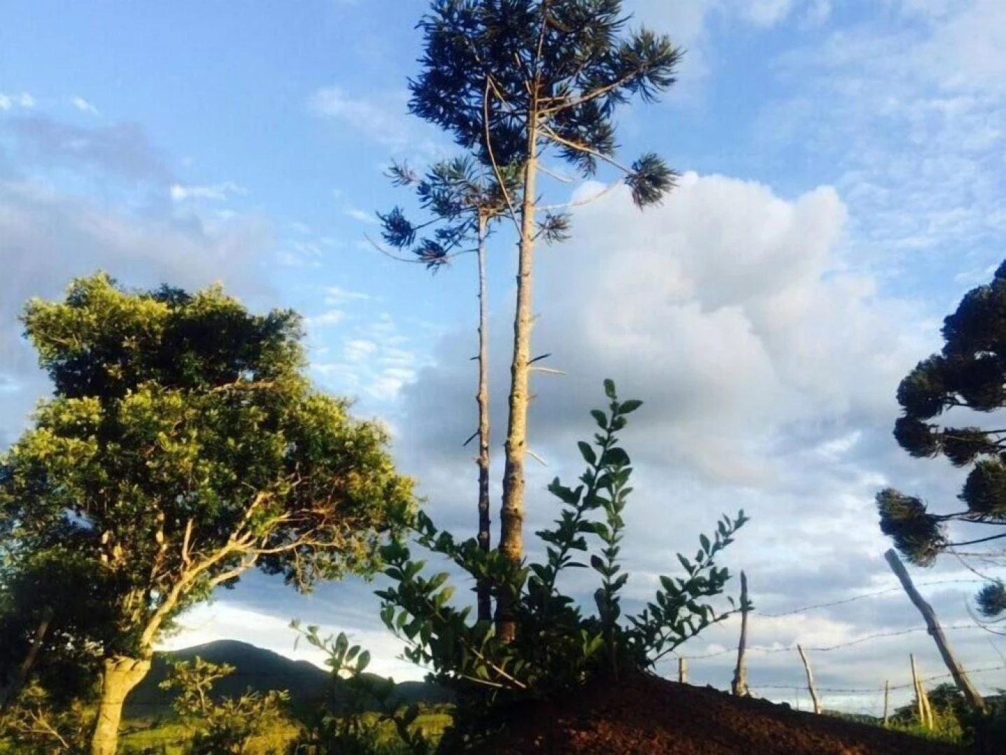Casa Campo Rústica Férias Fazenda Usina