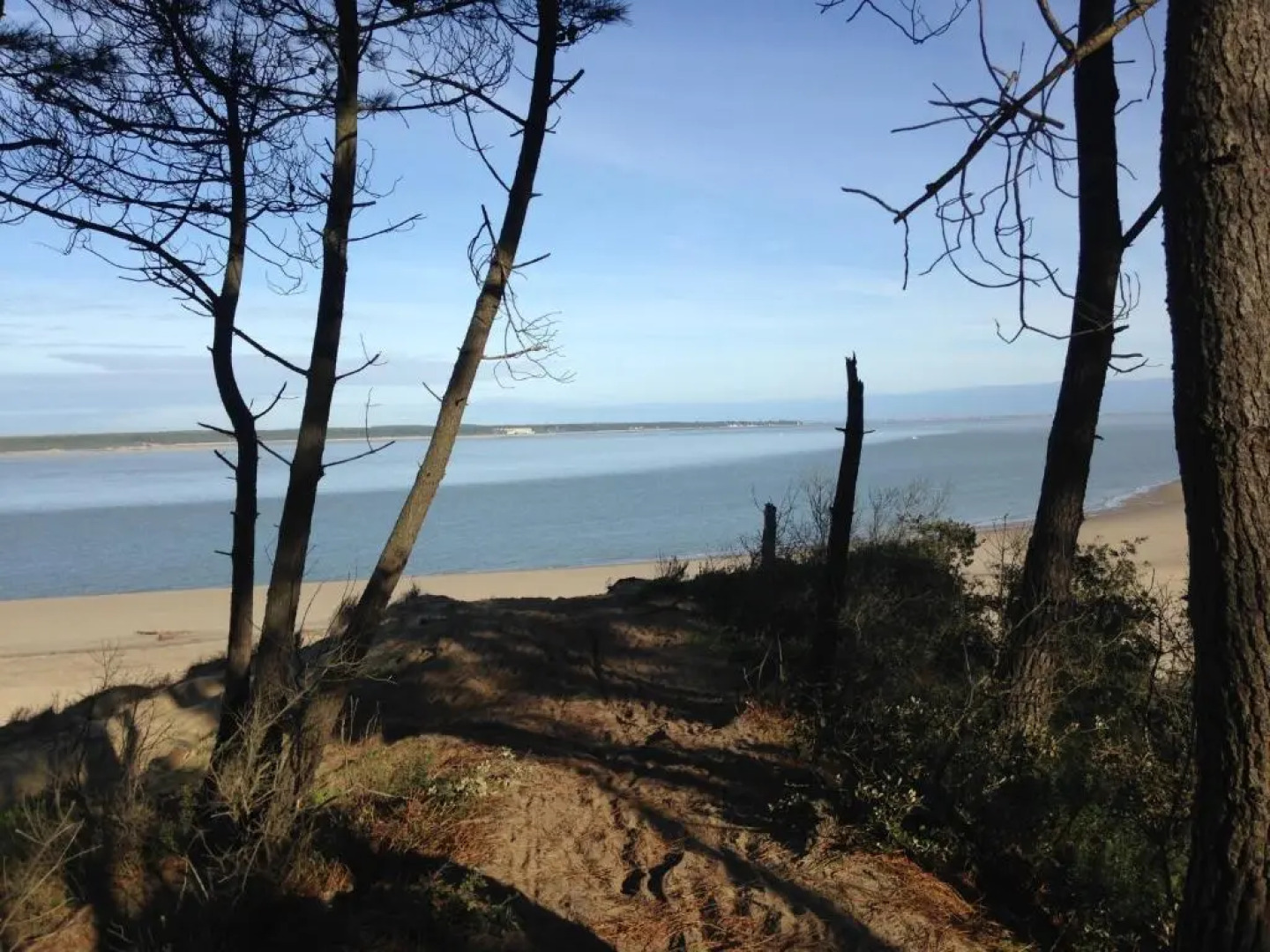 La Terrasse La Tremblade