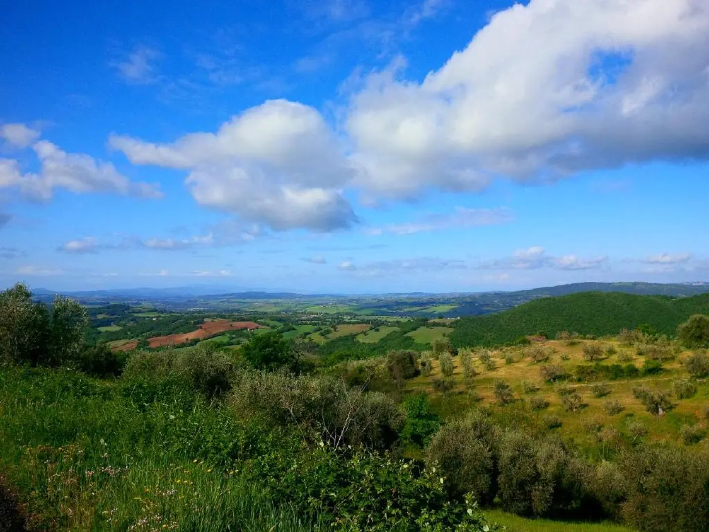 Agriturismo Podere San Giusto