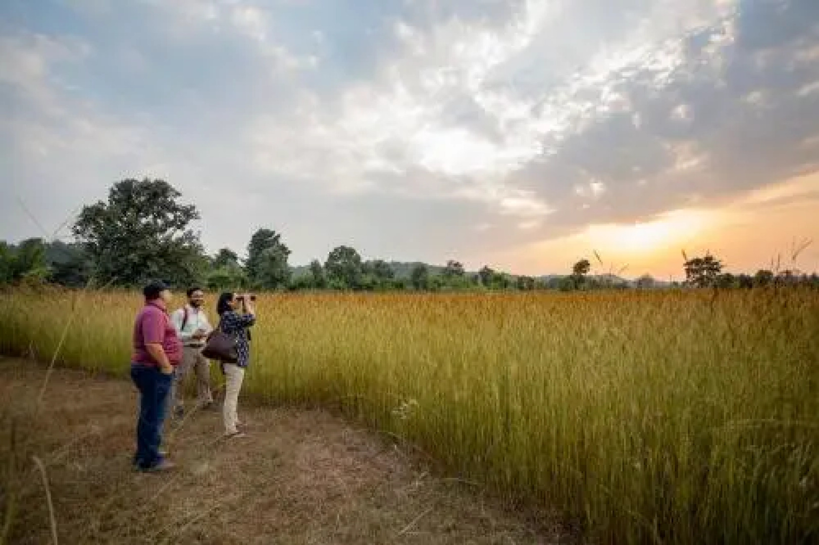 Tree House Hideway Bandhavgarh