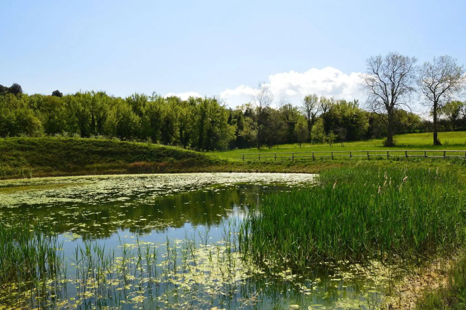 Agriturismo La Filanda