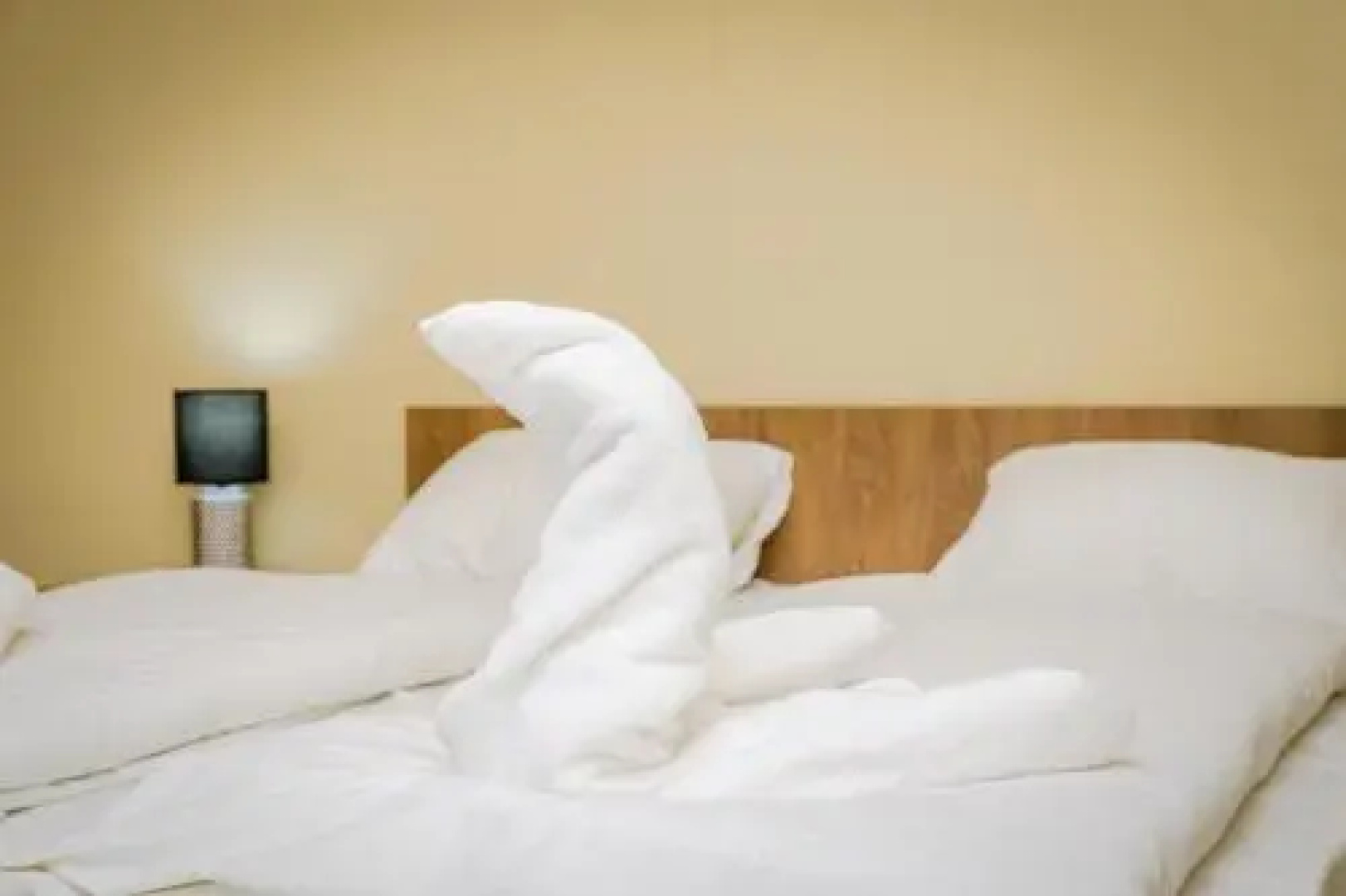 Exclusive Thermal & Wellness Apartman