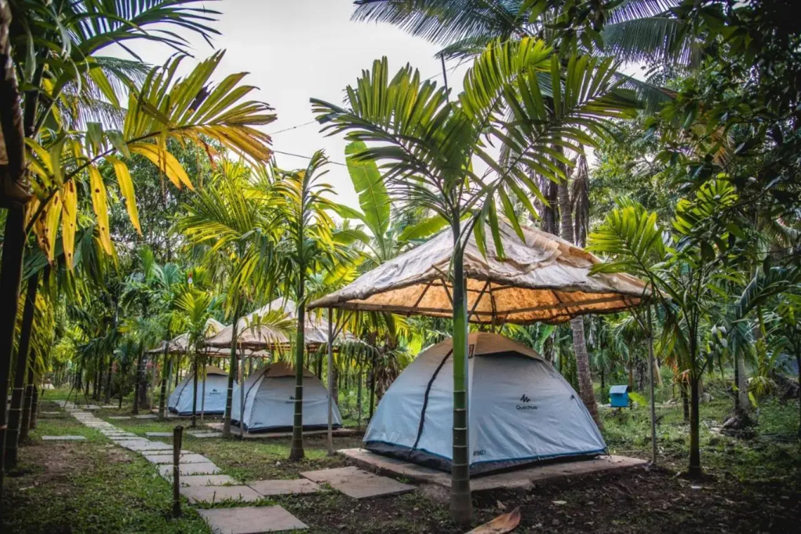Dandeli Jungle Villa