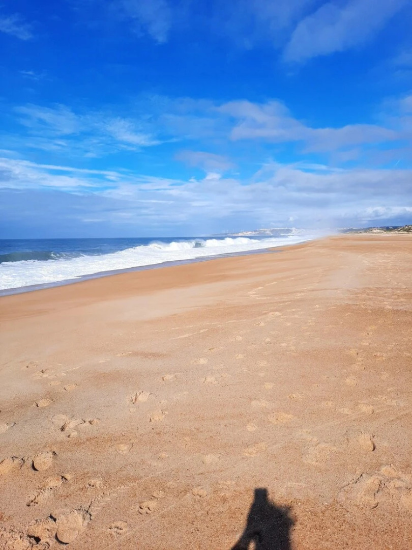 House With 3 Bedrooms in Nazaré, With Private Pool, Enclosed Garden and Wifi - 5 km From the Beach