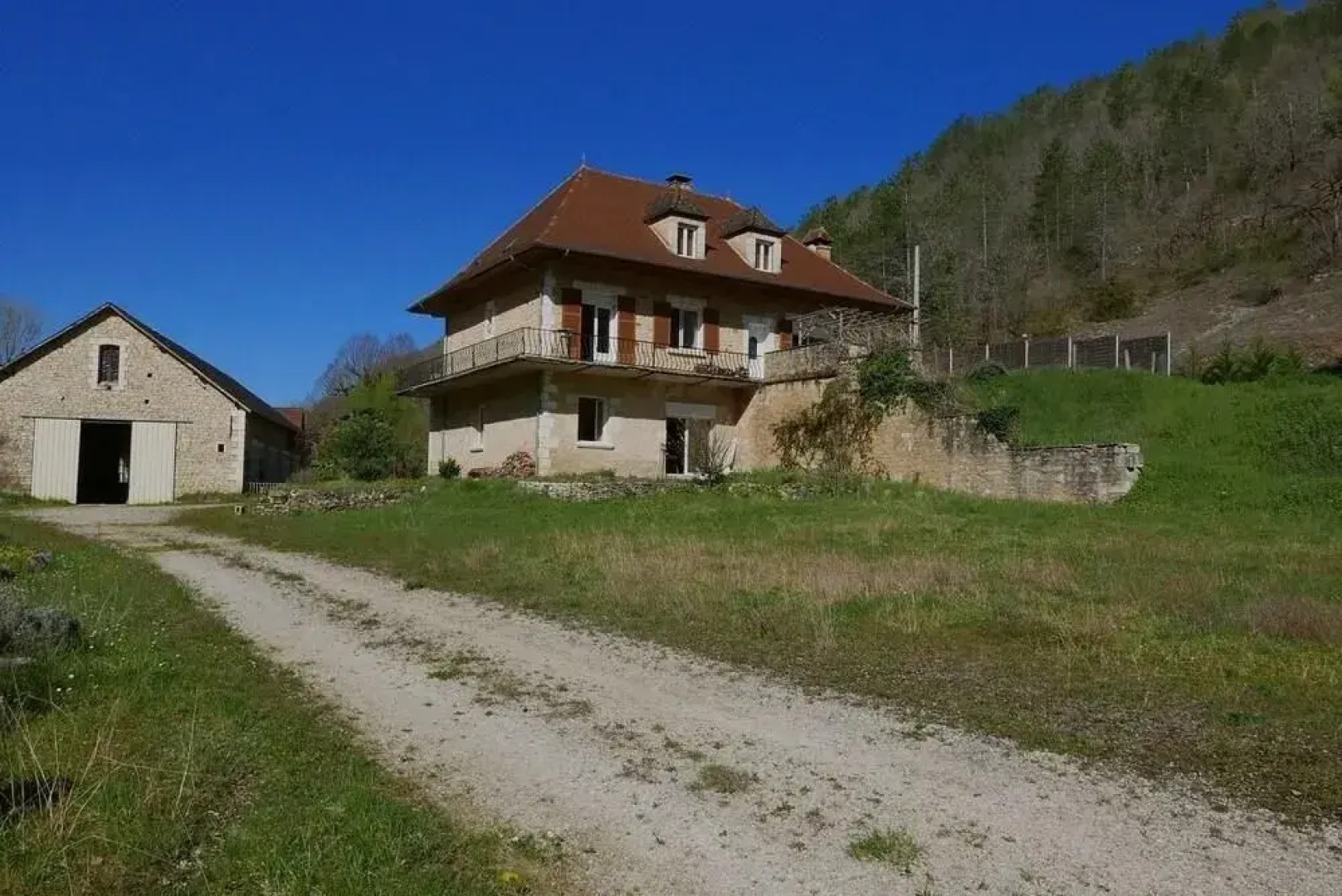 La Grenouille Qui Siffle