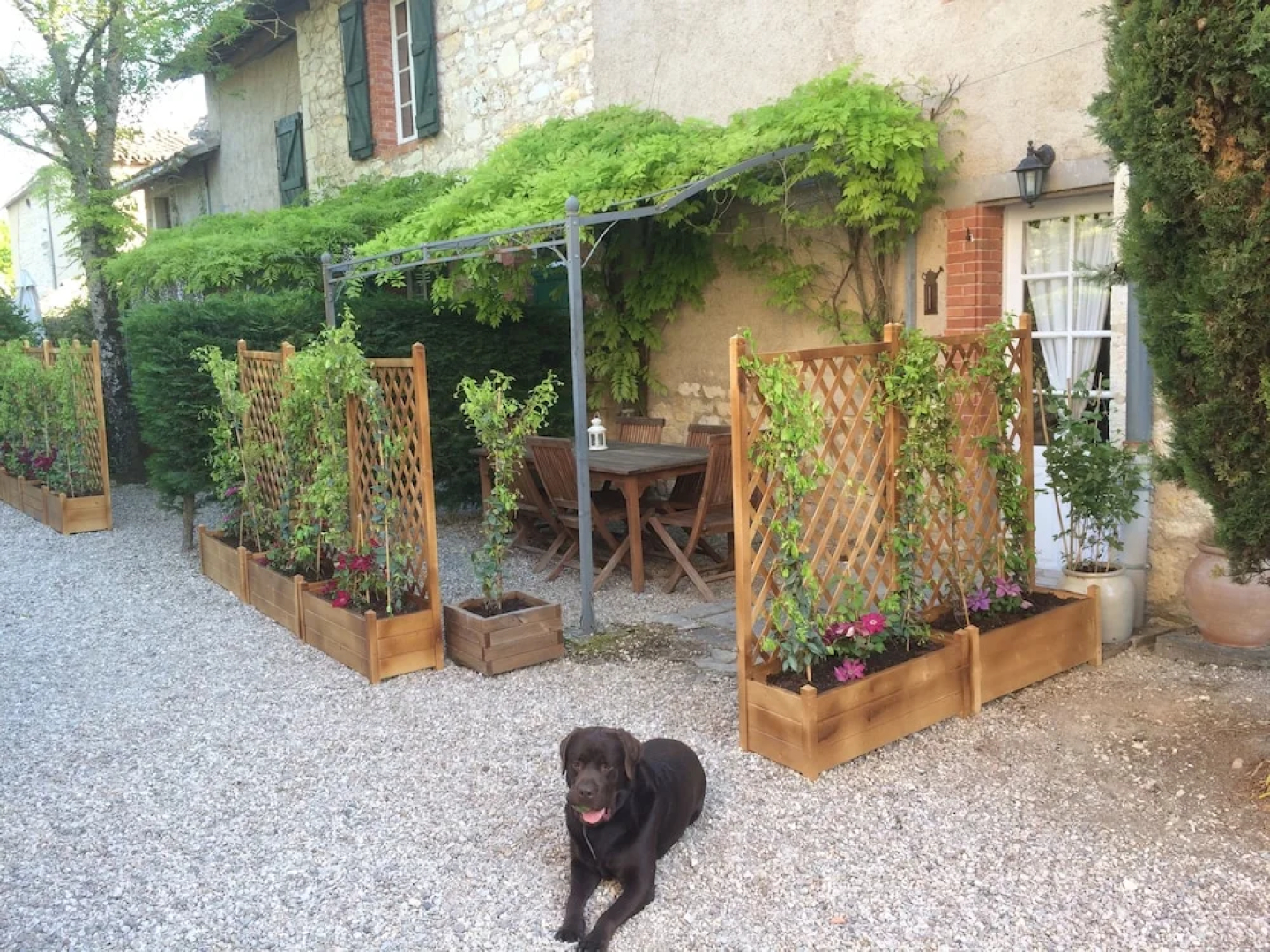 Les Vents Bleus