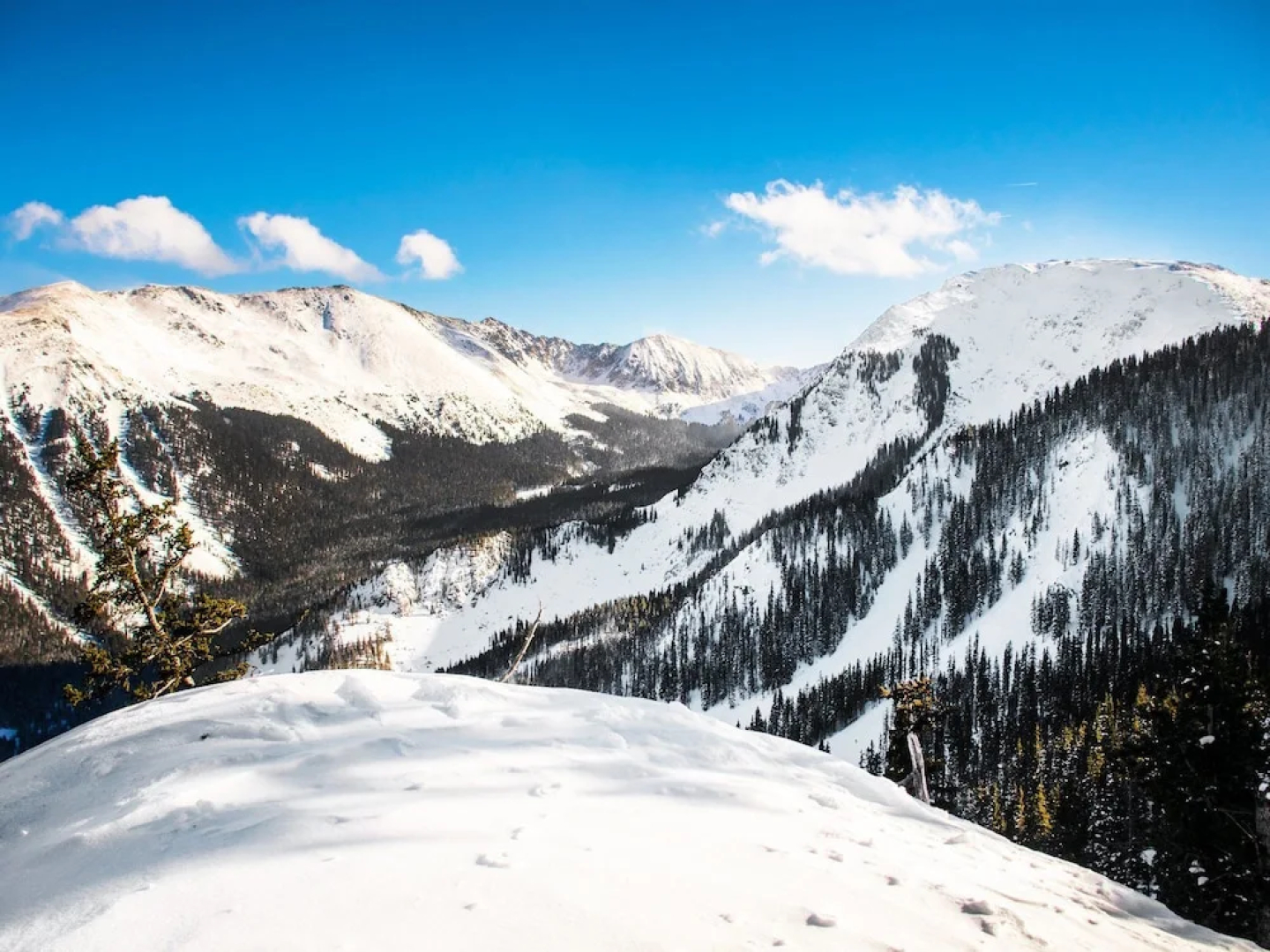 Dual Slopeside Studios Unit #301 and #302 2 Bedrooms 2 Bathrooms Condo