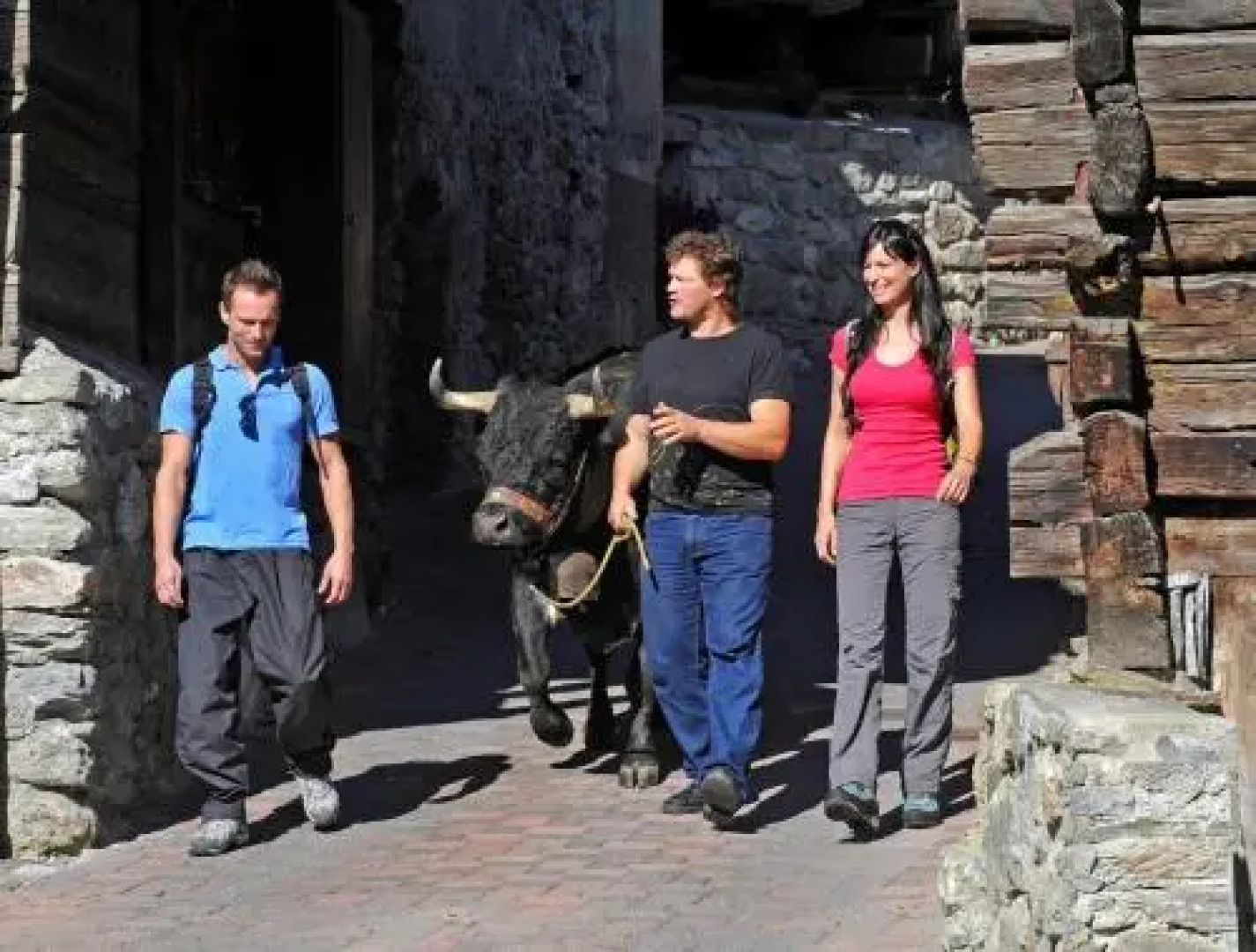 Résidence Dent dHérens