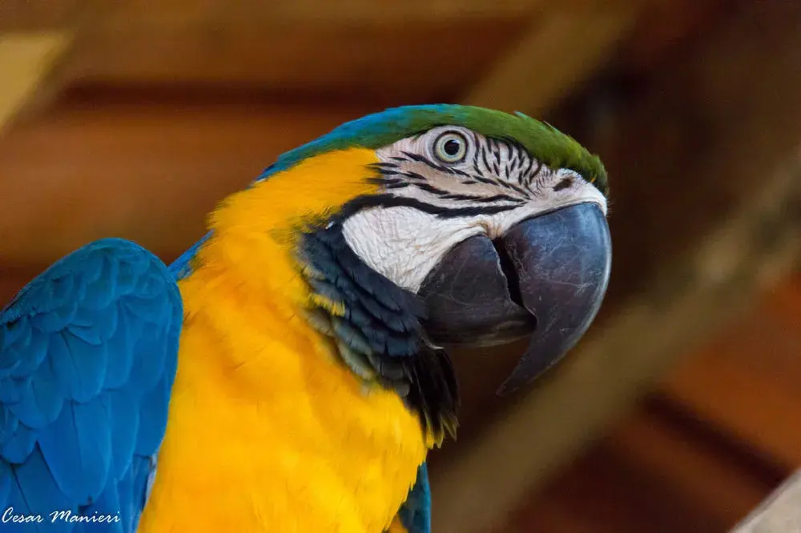 Pousada Casa Mia Lindoya