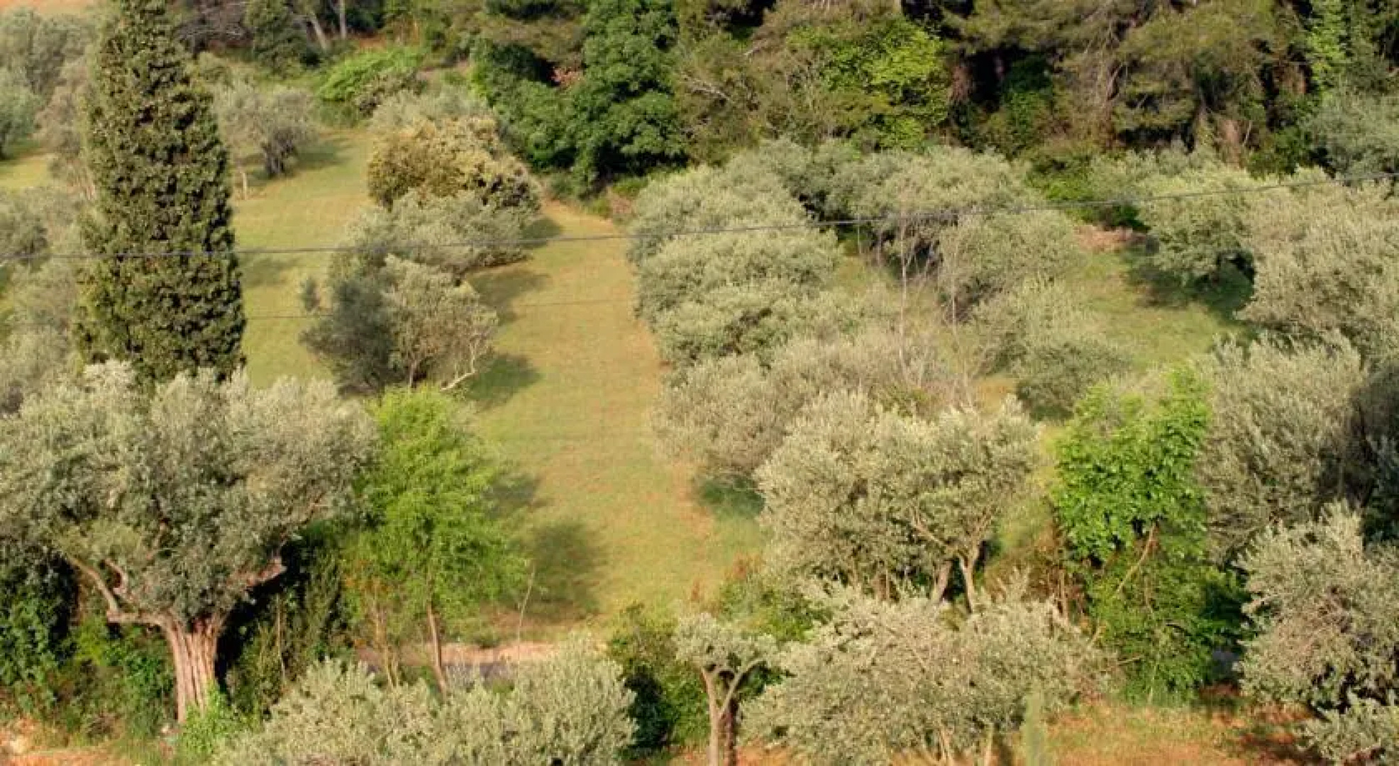 Dar Mona