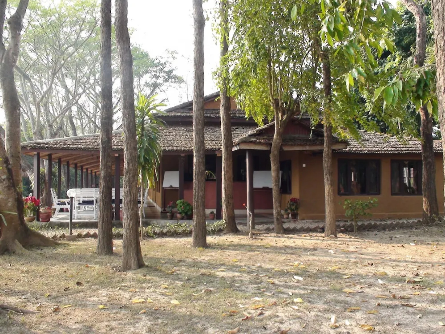 Safari Narayani Hotel- All Inclusive