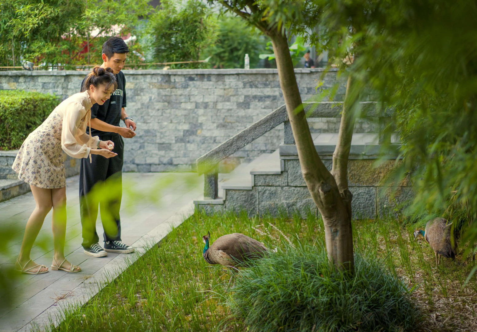 Banyan Tree Yangshuo