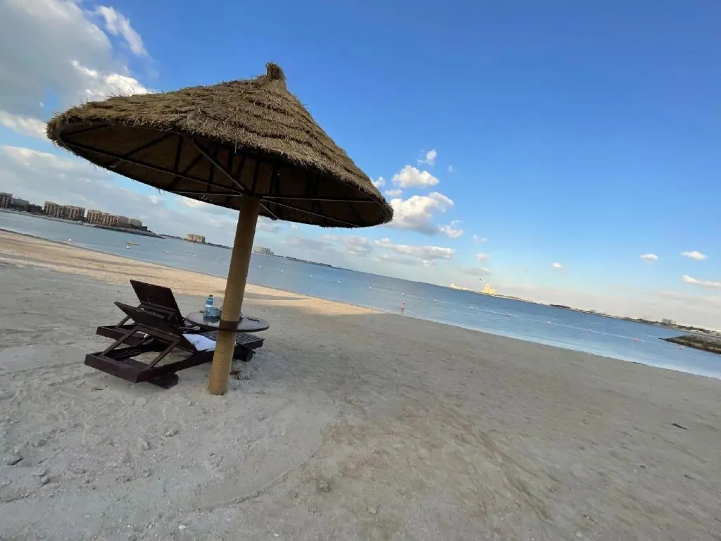 Amazing 1 Bedroom Apartment Next To The Beach