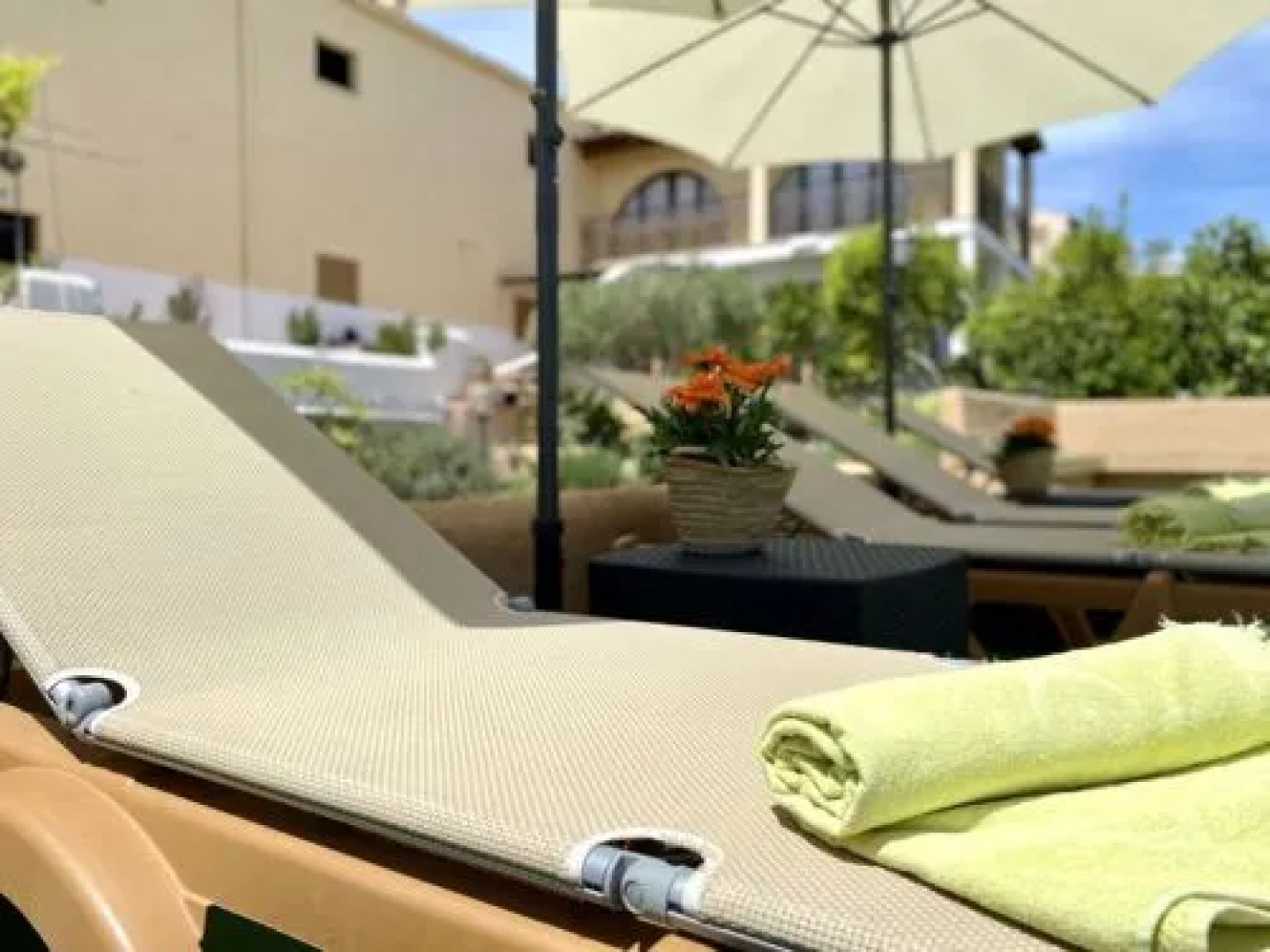 House Miro Vilafranca