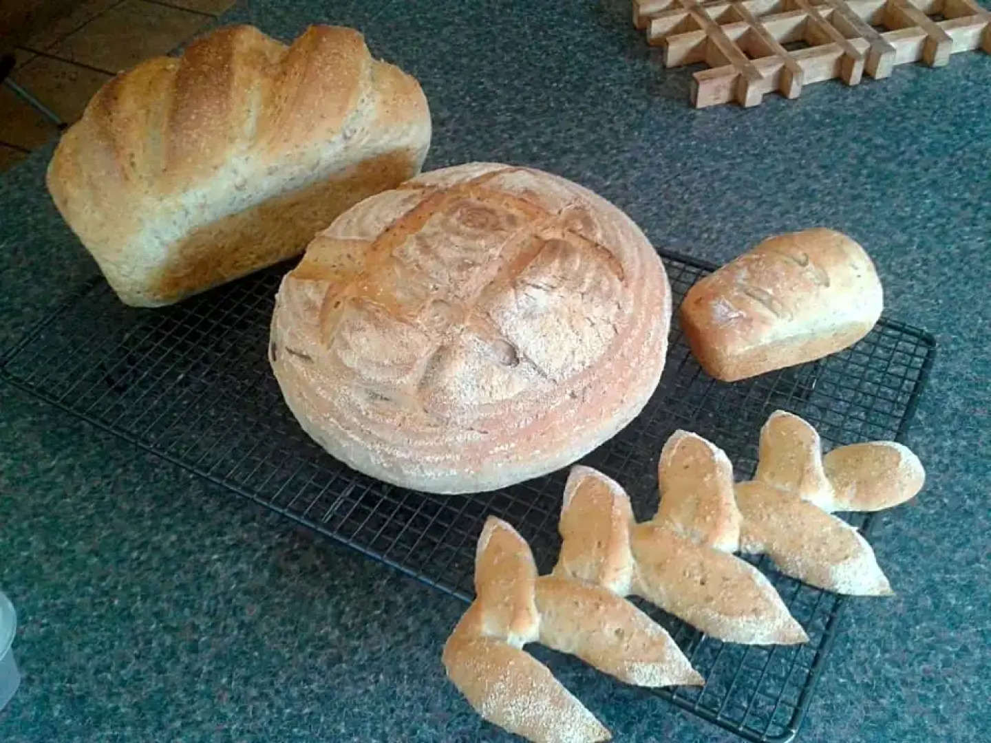 Whitehead Bed and Breakfast