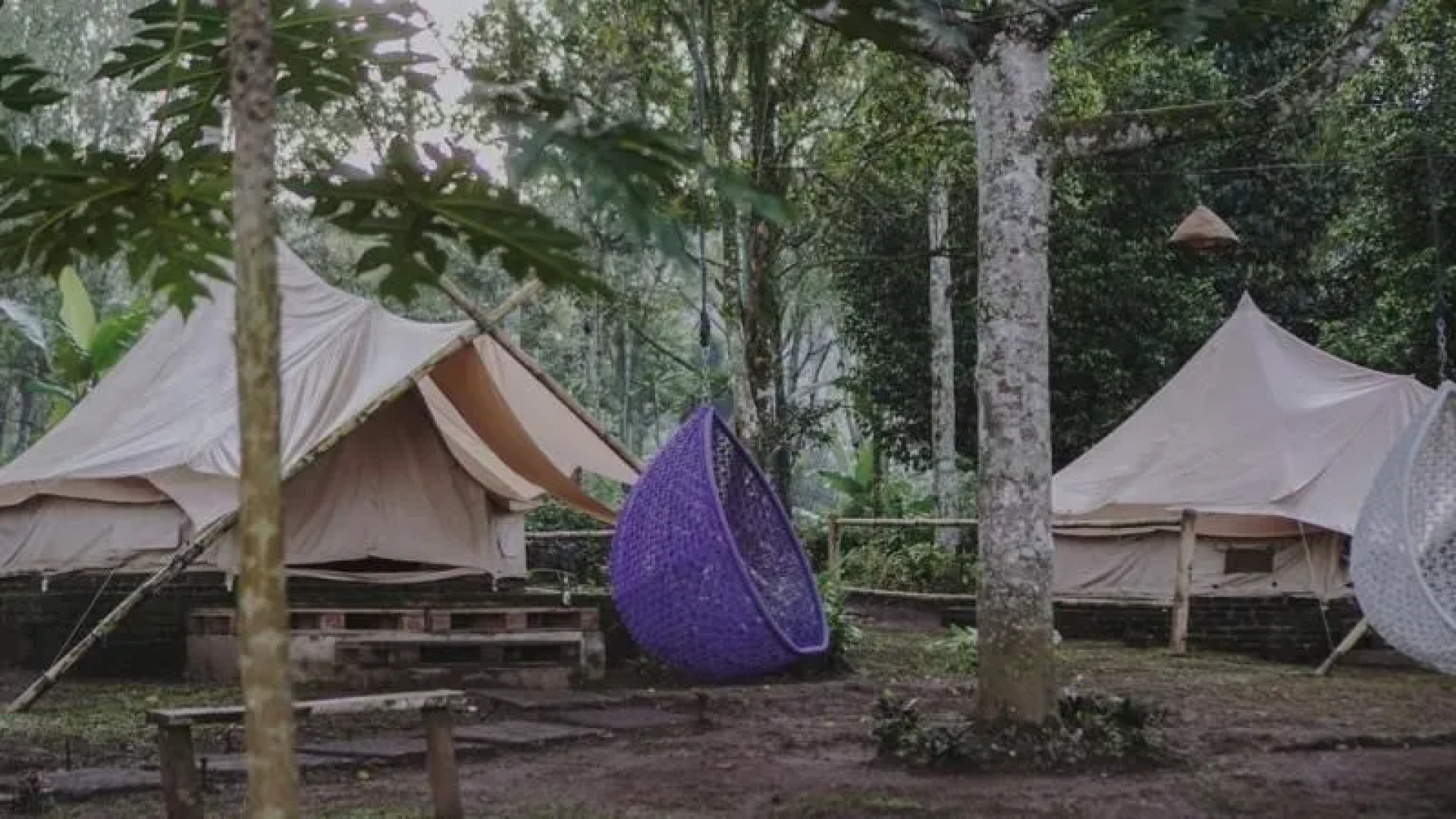 Damarwidi Glamping - Campsite