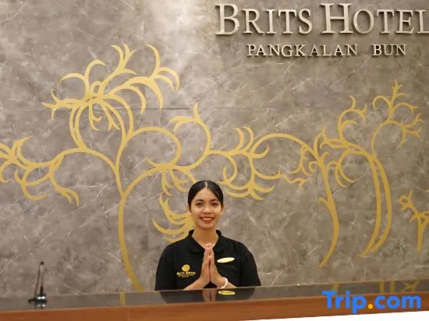 Brits Hotel Pangkalan Bun Powered by Archipelago