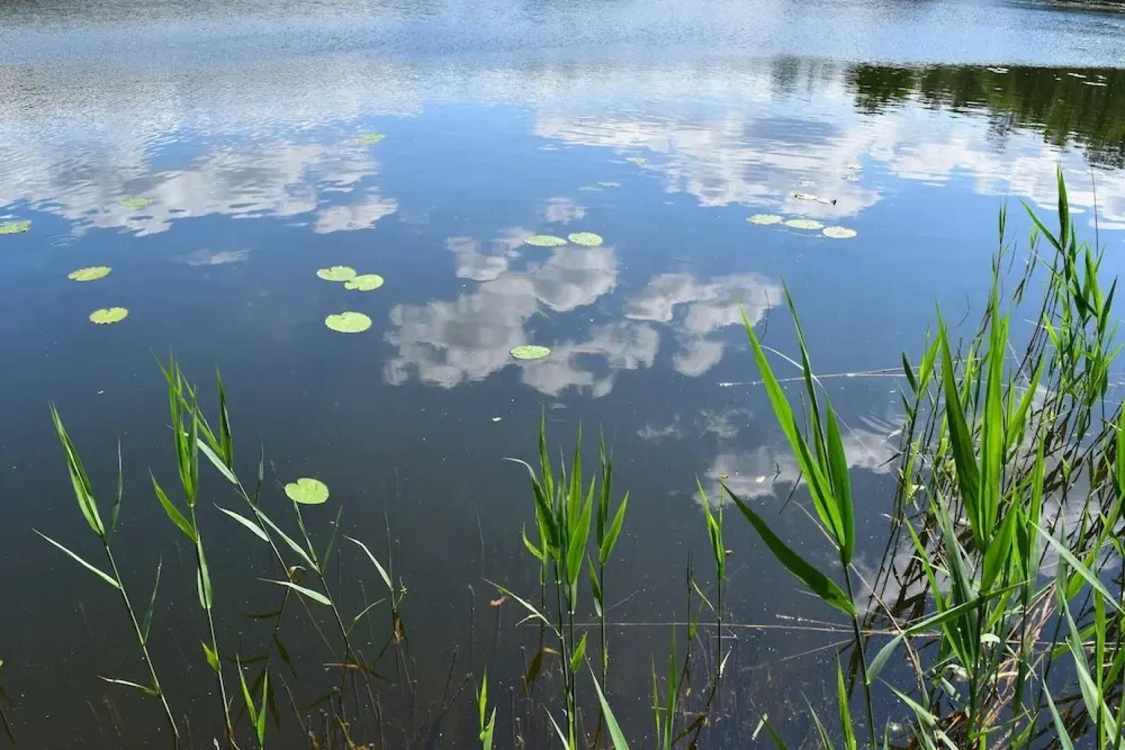Terraced House by Gardersee Lake, Germany