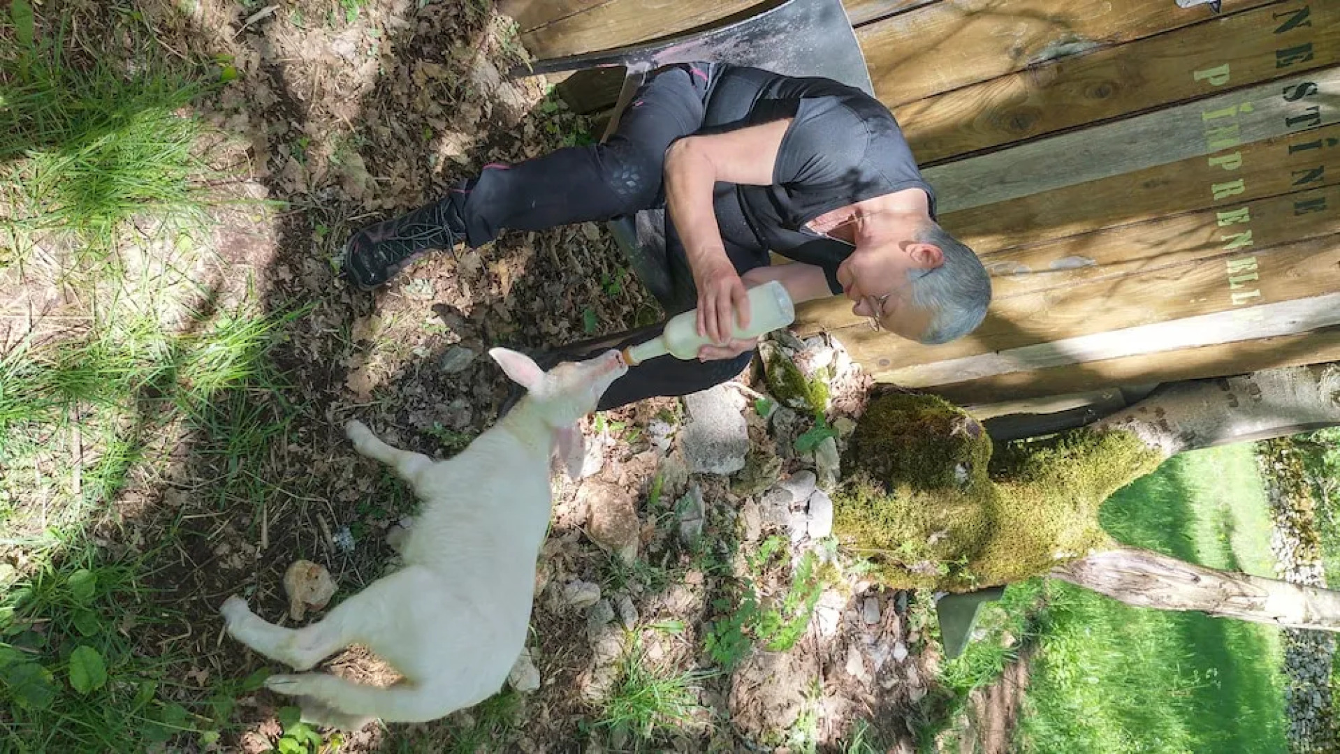 les roulottes du LOT