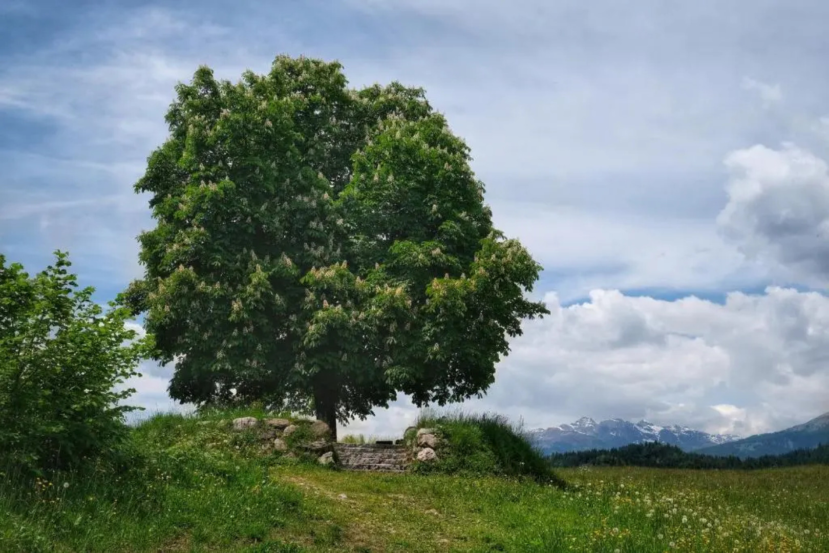 Seehotel & Seeapartments Karntnerhof