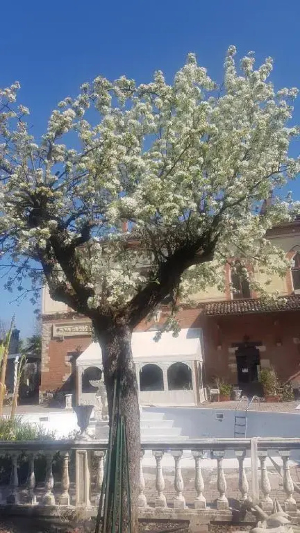 Grazzano Antica Stazione
