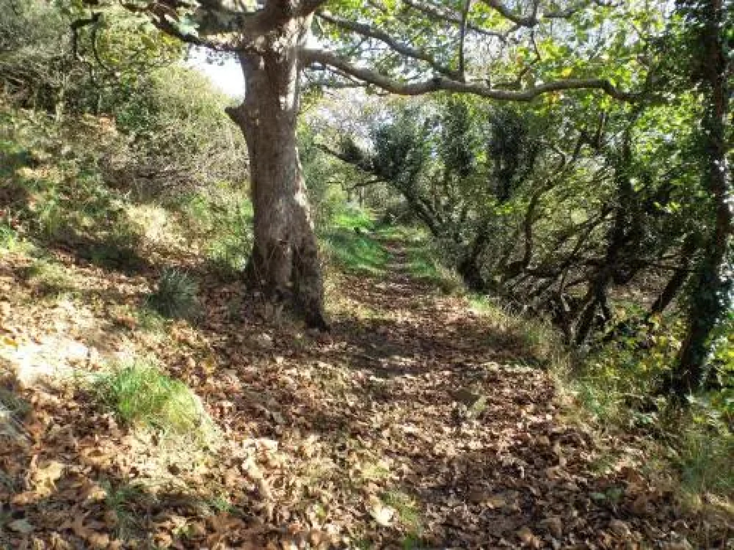 Southwood Farm Bed & Breakfast