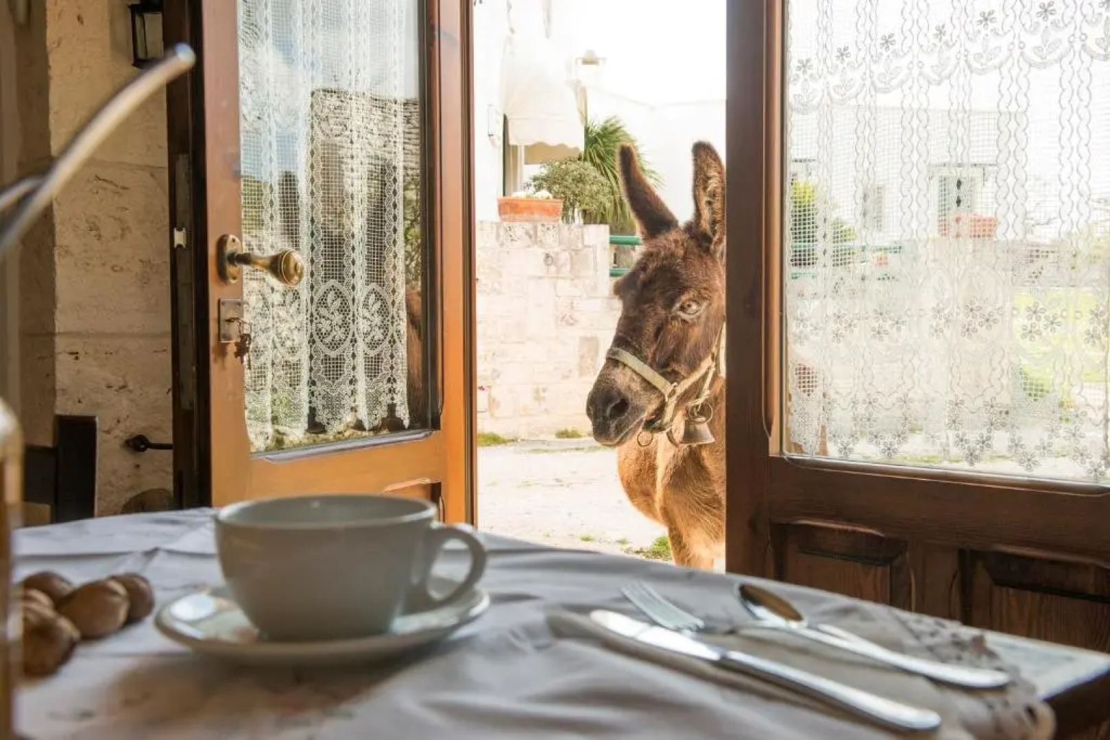 Agriturismo Masseria Aprile