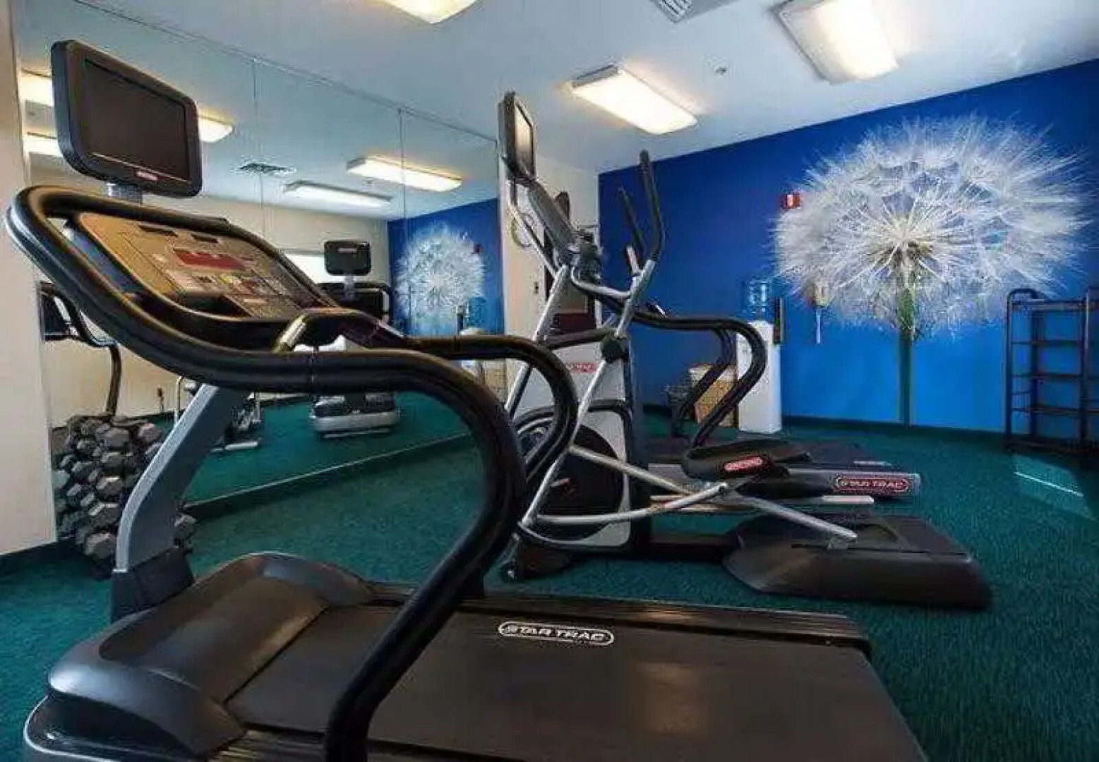 SpringHill Suites Lawton