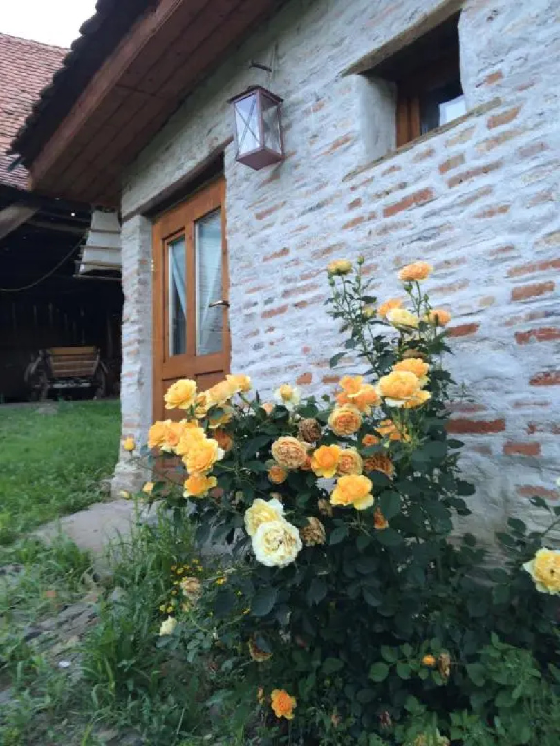 Dominic Boutique - Gardener's Cottage