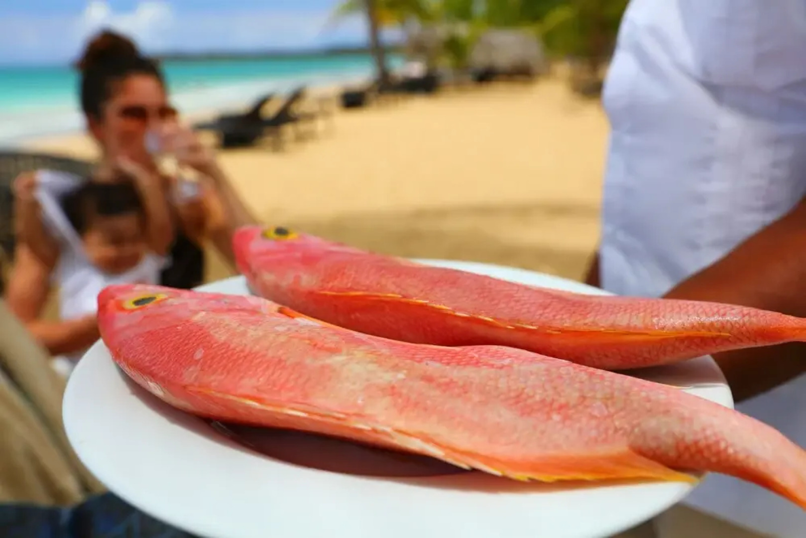 Beach Apartment at Sublime Samana