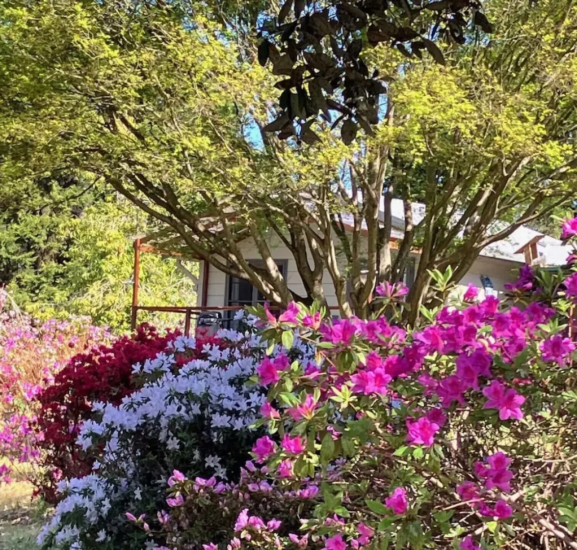 Wildside Sanctuary