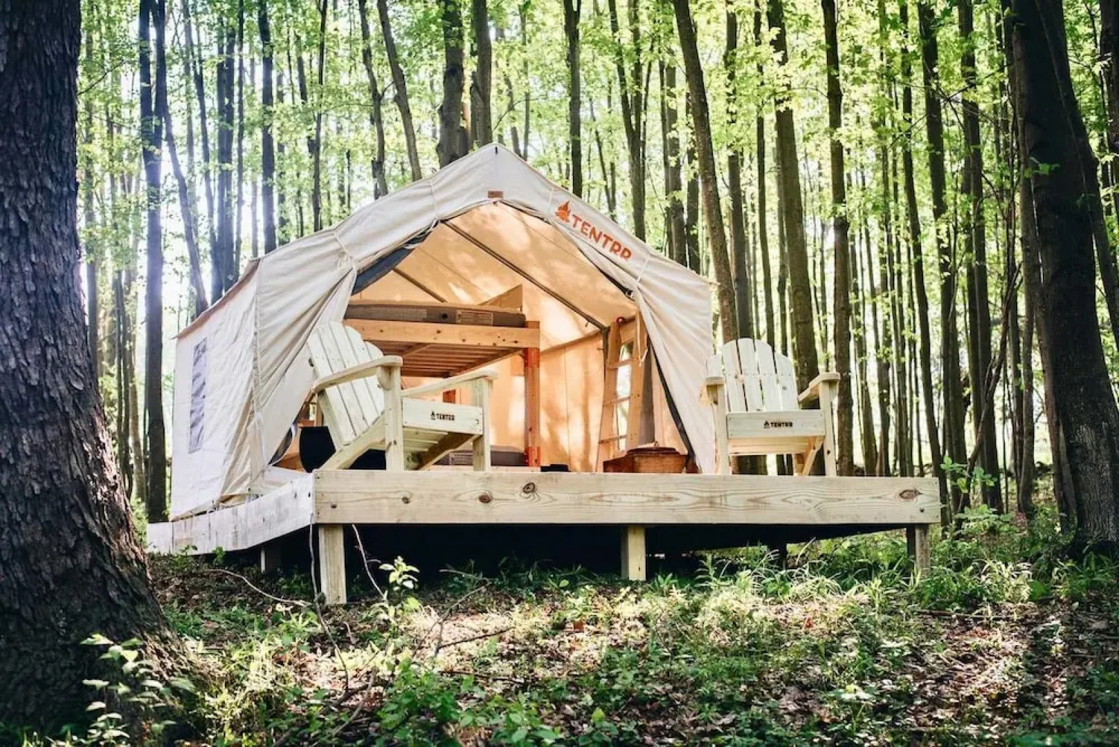 Tentrr â Hollow Tree Camp