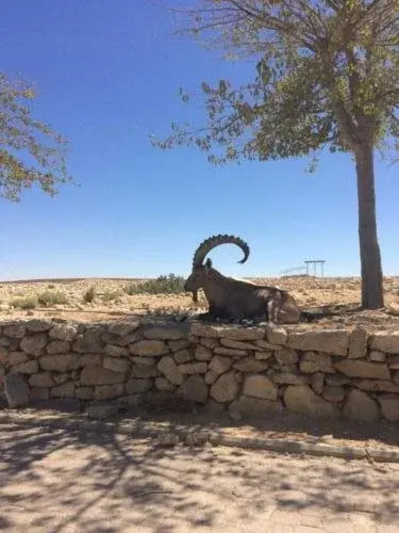 4 Zimmers in Mitzpe Ramon