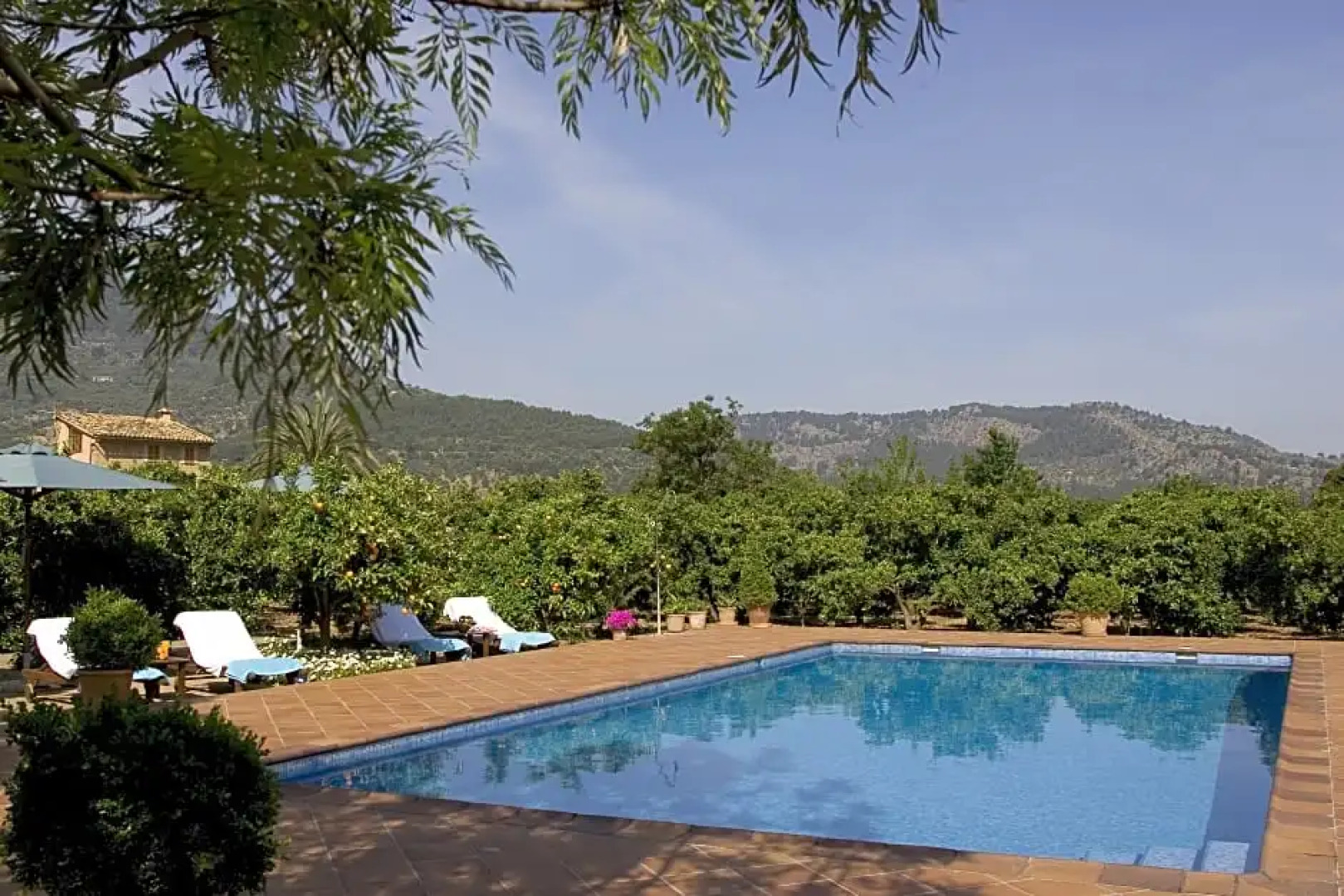 Finca Hotel Cas Curial